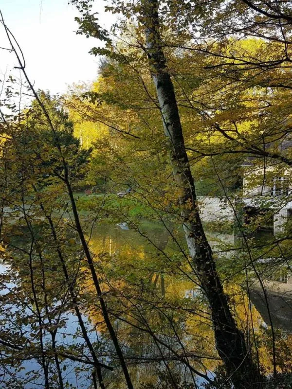 Gîte Le Jardin de Saint-Jean - Nid dans la forêt — gîte de groupe à Saint-Jean-aux-Bois