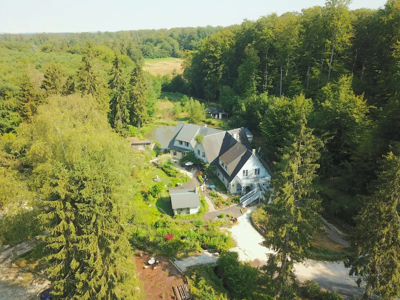Photo 4 de Le Jardin de Saint-Jean - Nid dans la forêt à Saint-Jean-aux-Bois