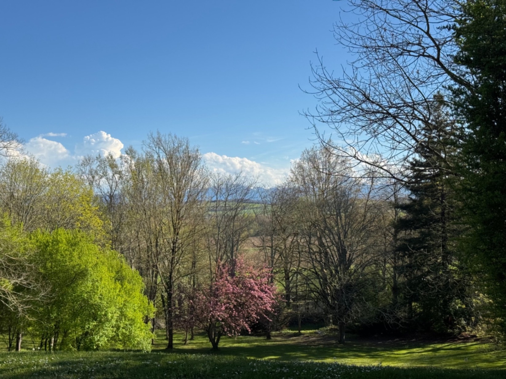 Domaine de Bize – Mirepoix