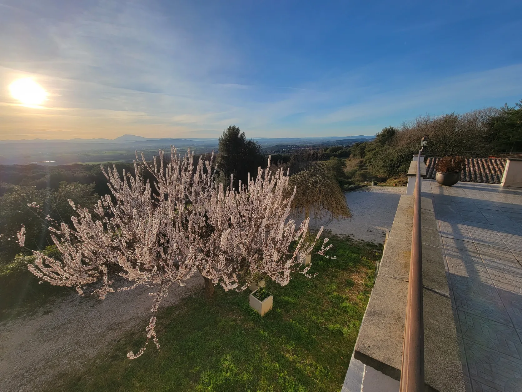 Vue de la terrasse panoramique on voit le ventoux et la vallée du rhône ainsi que la lavande