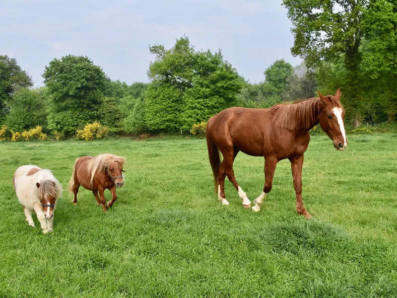 Photo 3 de Domaine de la Ferme de Jean Grogne à Fontenay-Trésigny