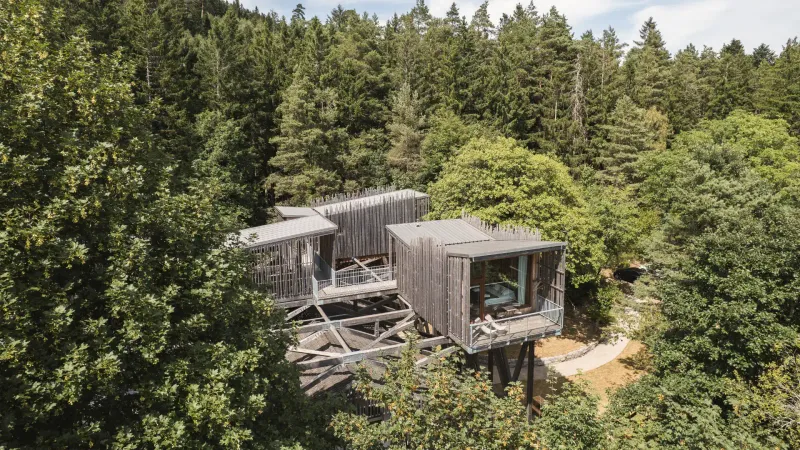 Gîte Villa Forêt & Spa — gîte de groupe à Champdray