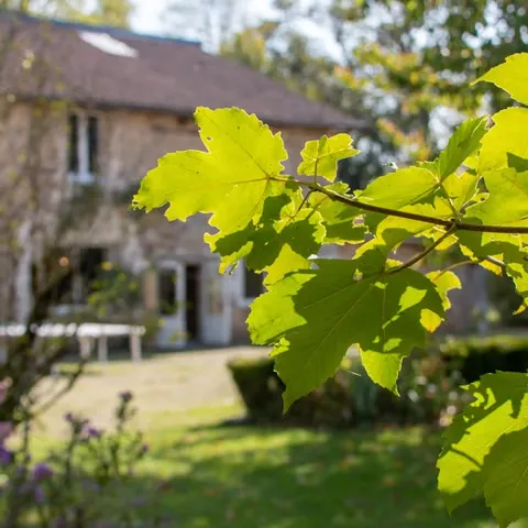 Photo 5 de Domaine de la Beige à Mézières-sur-Issoire