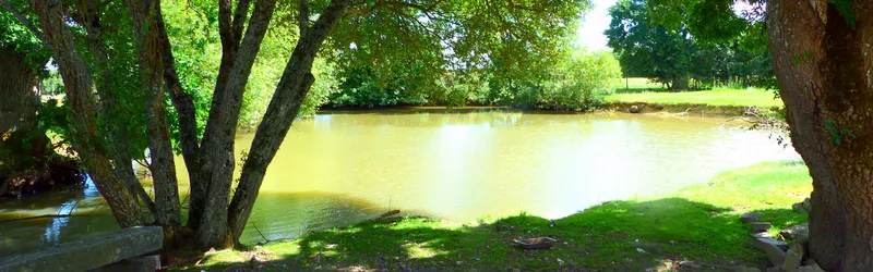 Photo 4 de Gîte de la Royère à Pannecé