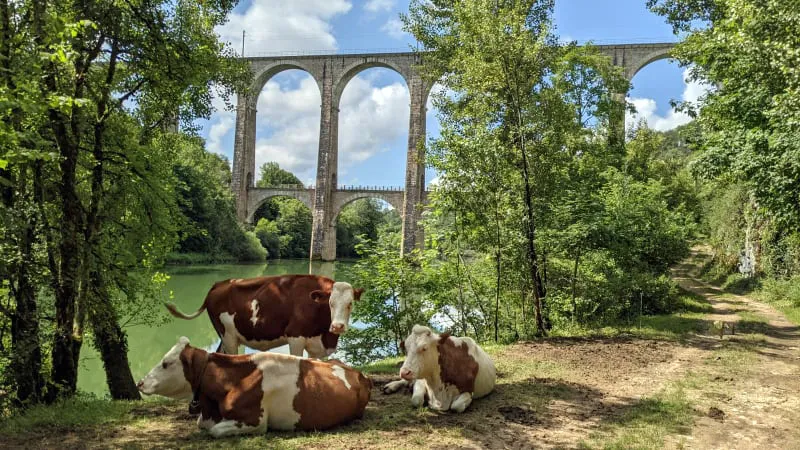 Photo 4 de Gîte du Viaduc à la Source à Bolozon