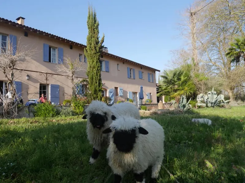 Gîte Gîte de Brassacou — gîte de groupe à Pamiers