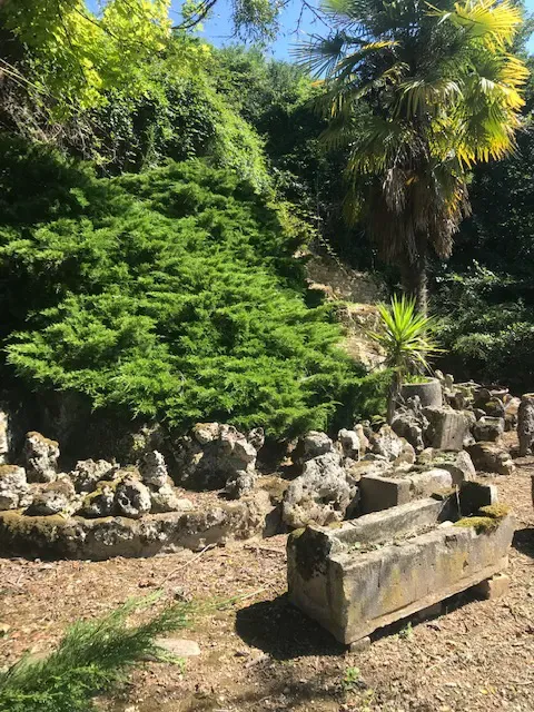 Photo 3 de Gîte Le Rocher de Pradelle à Saint-Quantin-de-Rançanne