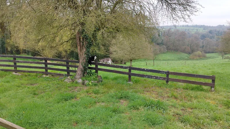 La salle de loisirs avec billard et baby-foot