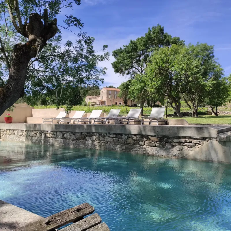 La piscine du domaine entourée de transats et de vignes