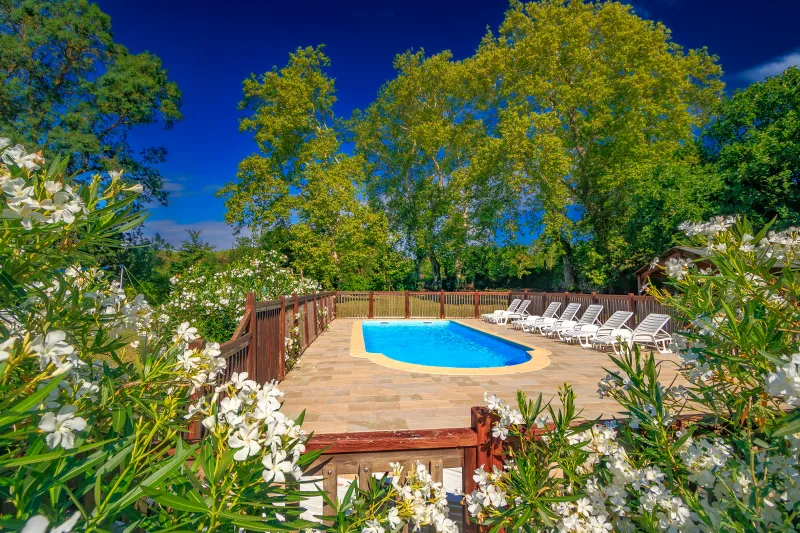 La piscine du domaine avec transats face aux vignes