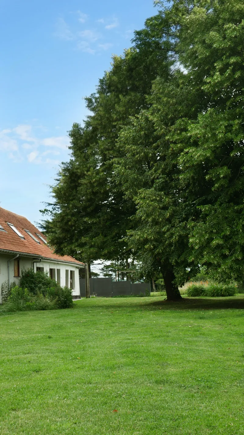 Vue d'ensemble des bâtiments de la Ferme de Wolphus
