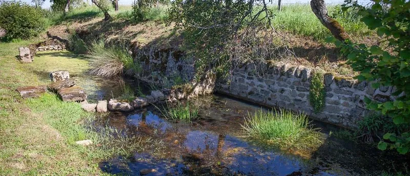 Paysage autour du Fenil de Joanny, bocage du Charolais-Brionnais en Saône-et-Loire