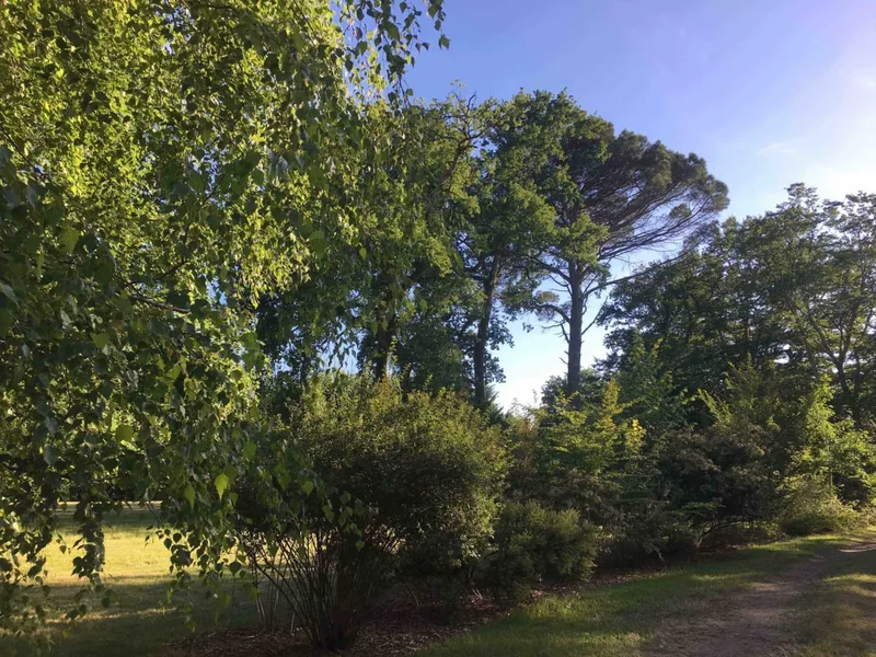 Parc d'un hectare du Baccara Lodge, jardins luxuriants et arbres matures à Arengosse (40)