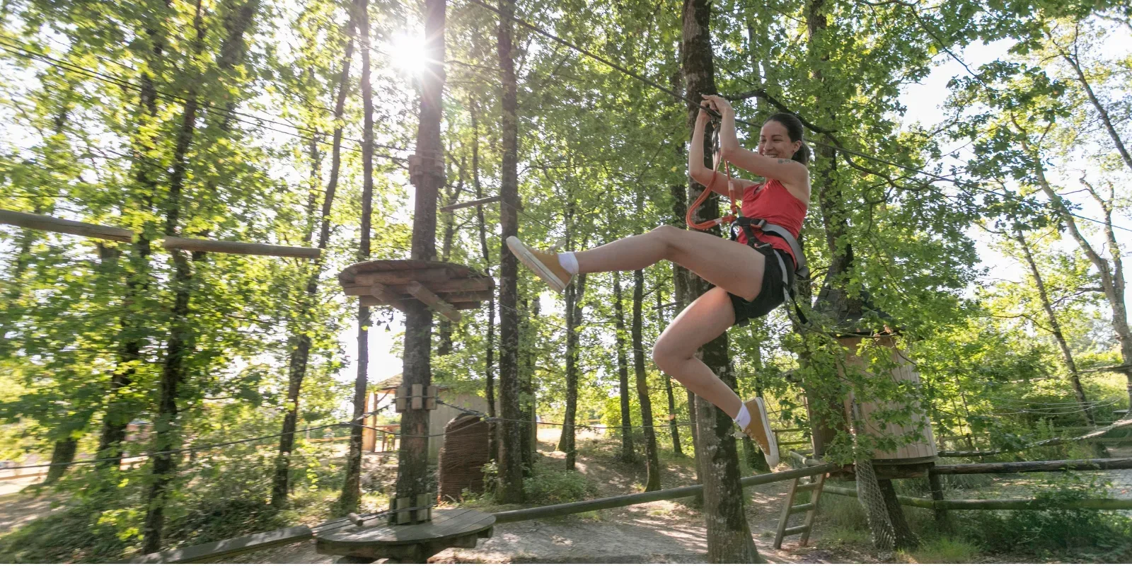 Activité : Accrobranche