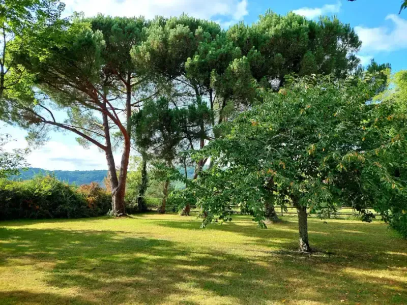 Parc arboré de 8 400 m² de La Buissière avec espaces verts, terrasse et espace de détente