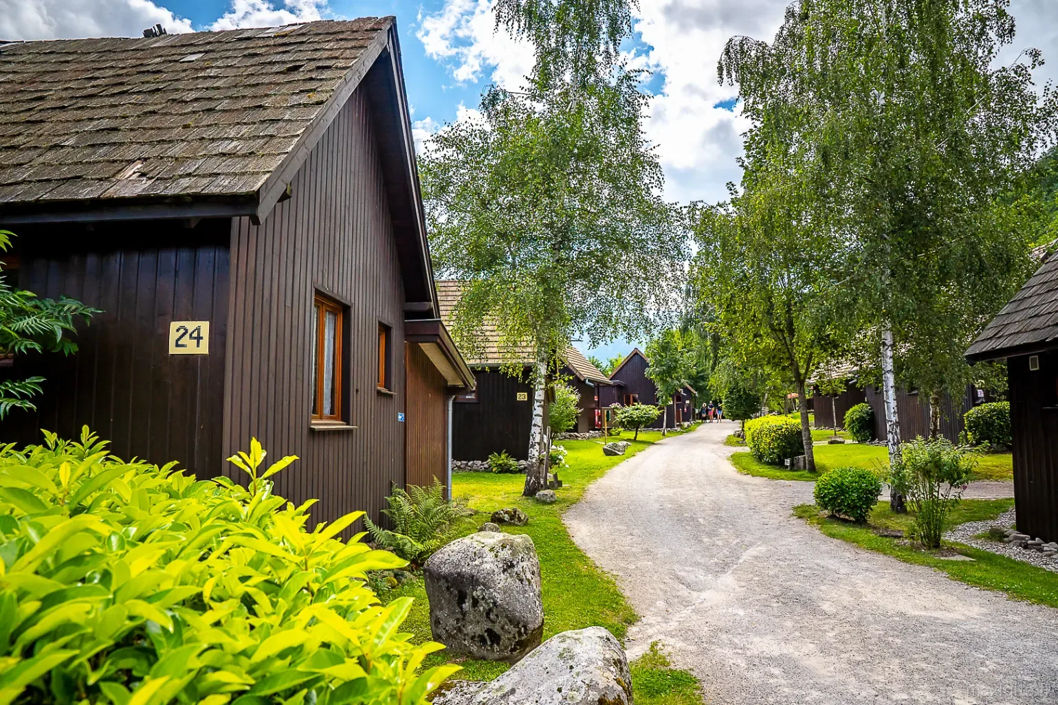 Espace extérieur des Chalets de la Wormsa avec terrasse et environnement naturel vosgien