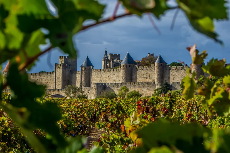 Domaine de Cantalauze – Trèbes