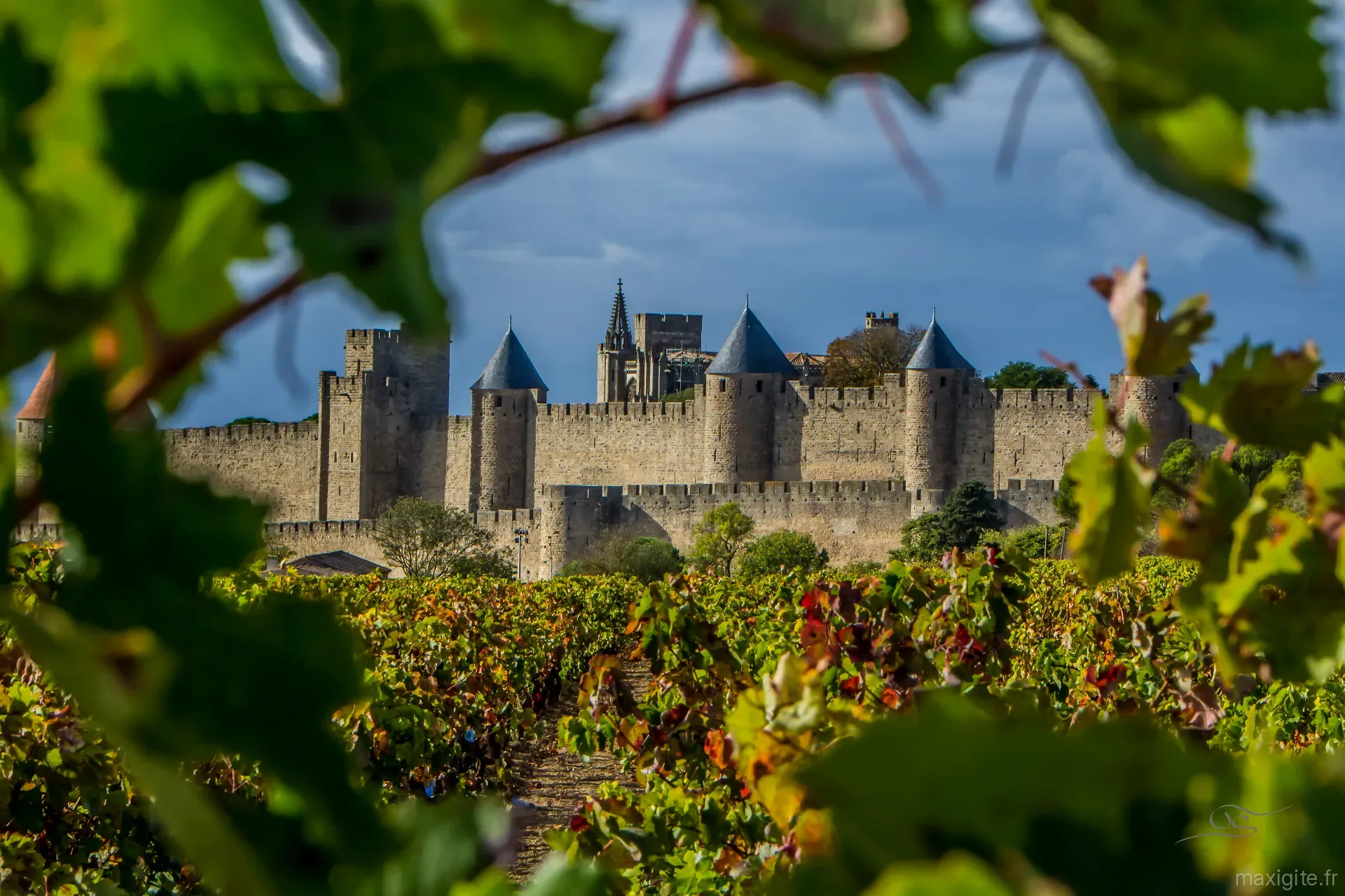 Domaine de Cantalauze – Trèbes
