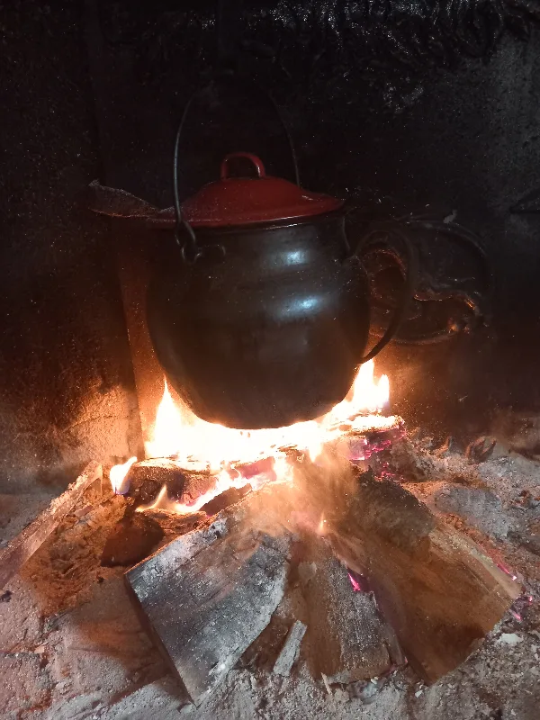 On cuisine au feu de bois !
