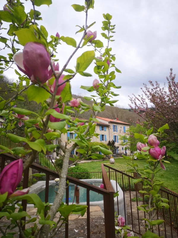 Un écrin de verdure
