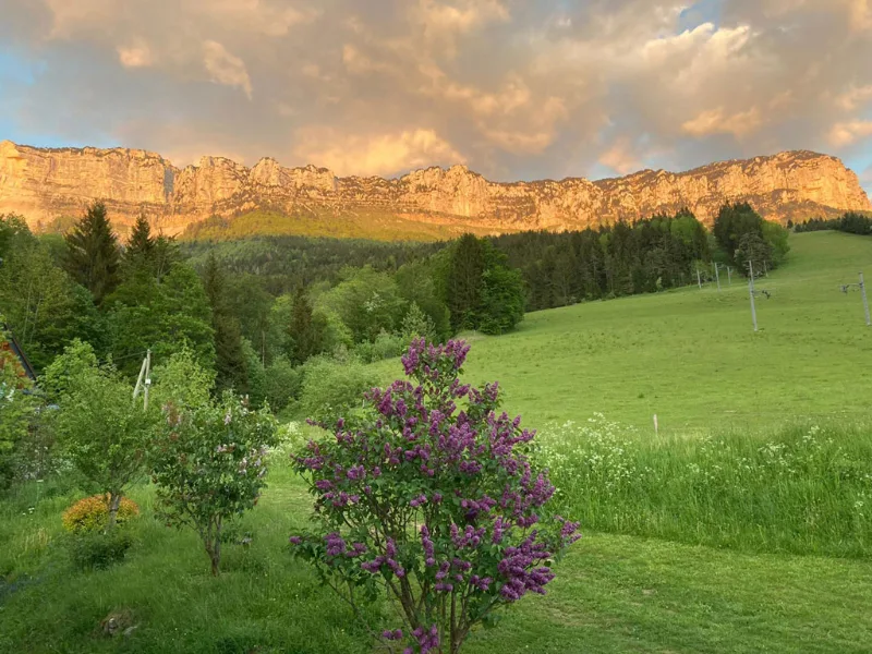 Vue panoramique sur falaises calcaires avec lilas violet en premier plan et prairie verte