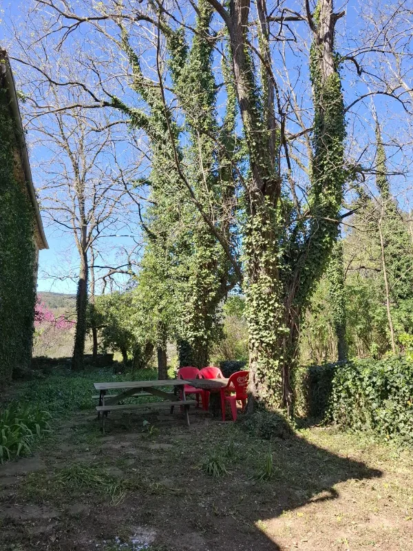 Allée ombragée du jardin bordée de grands arbres avec coin repos
