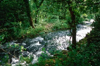 Photo de Aire de la Séranne