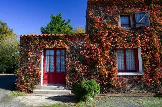 Photo de Gîtes de la Vergne Neuve
