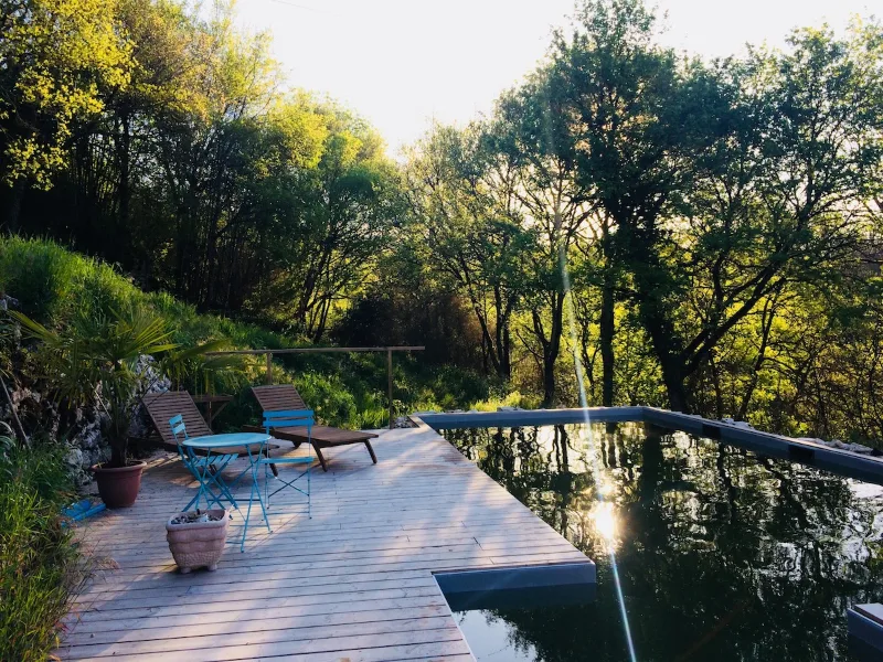 Piscine naturelle entourée de verdure et de transats
