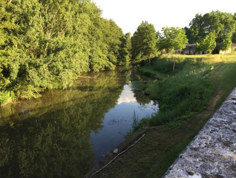 Cours d'eau bordant le parc du château, entre grands arbres et prairie