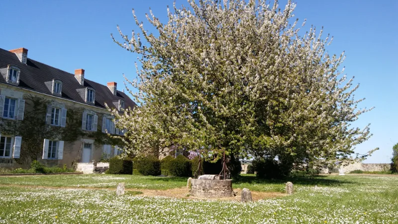 Gîte Manoir de Vilaines — gîte de groupe à Varennes