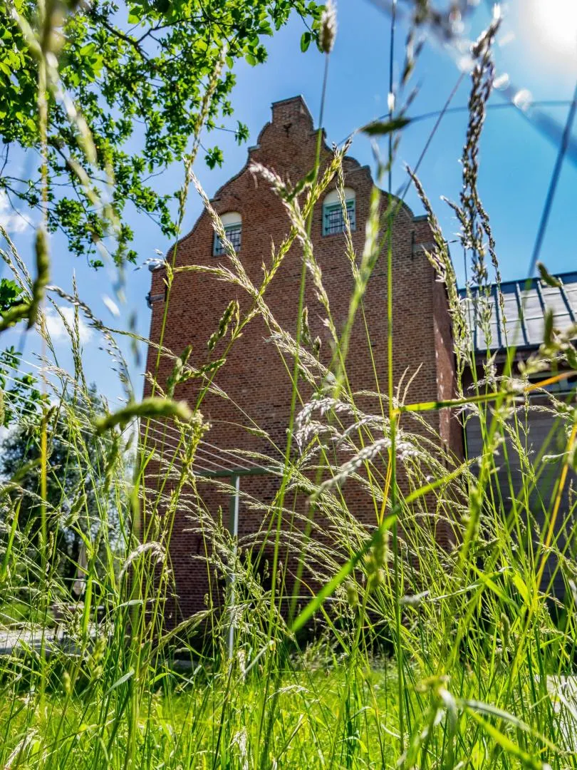 Pignon du manoir en briques vu à travers les hautes herbes du jardin