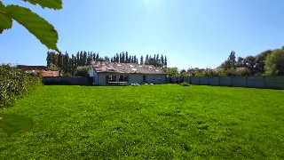 Photo de Le Léon