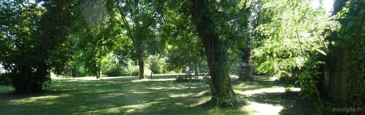Parc ombragé avec grands arbres et pelouse entretenue autour de la propriété