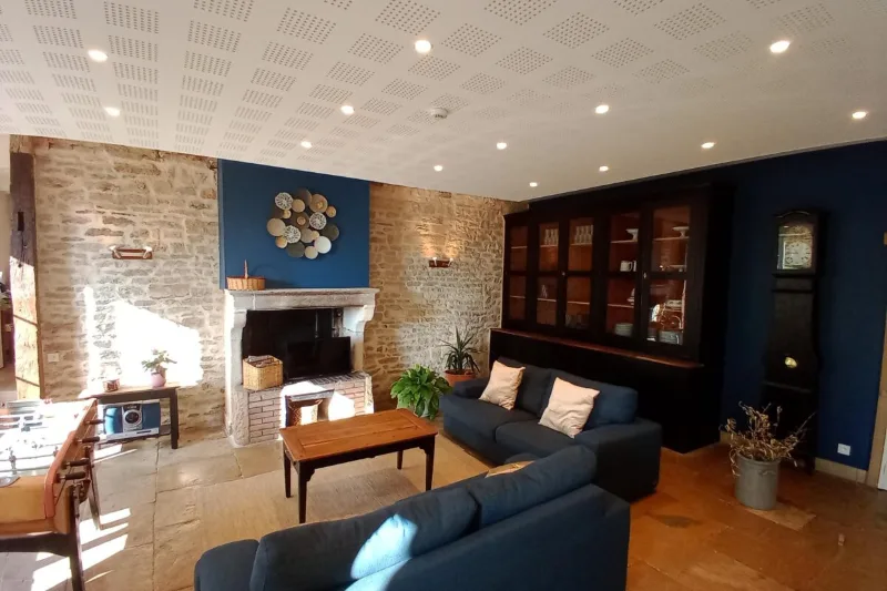 Salon avec cheminée en pierre, canapés et bibliothèque, ambiance chaleureuse