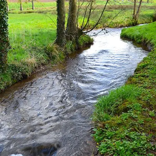 Petite rivière traversant le terrain naturel du domaine