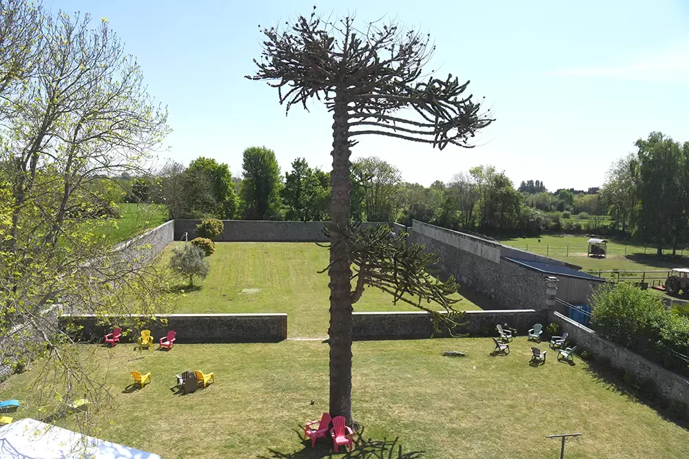 Grand jardin arboré du domaine avec pelouse et arbre remarquable