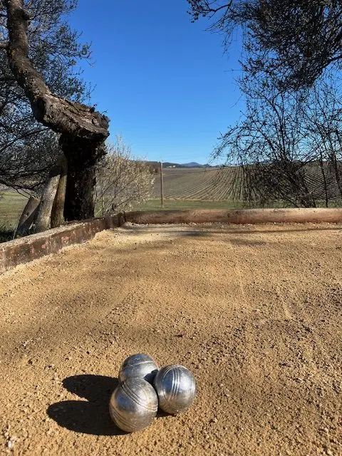 Terrain de pétanque du domaine entouré d'oliviers avec vue sur le plateau