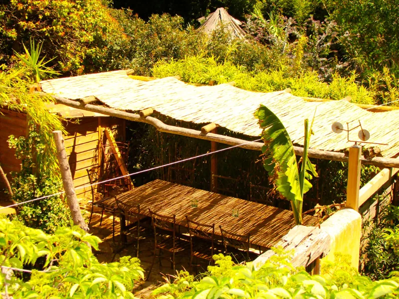 Terrasse ombragée sous bambous avec tables et chaises pour repas en extérieur