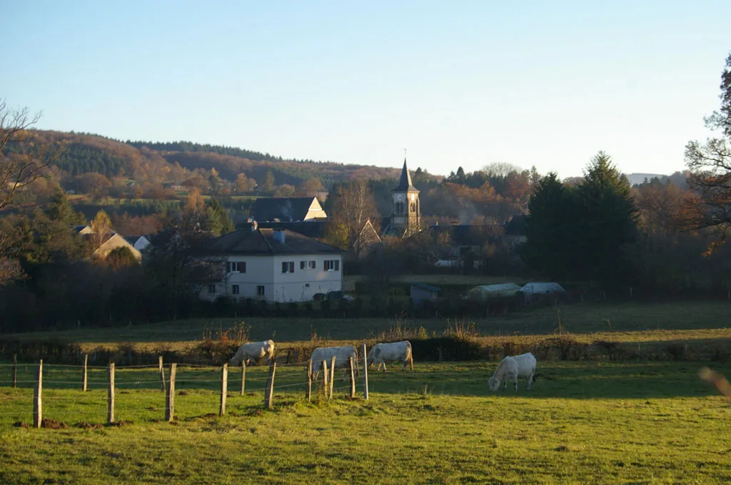 Vue sur le village de Brassy et la campagne du Morvan depuis les prés voisins