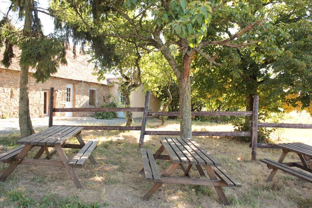 Terrasse ombragée par de grands arbres avec plusieurs tables de pique-nique en bois