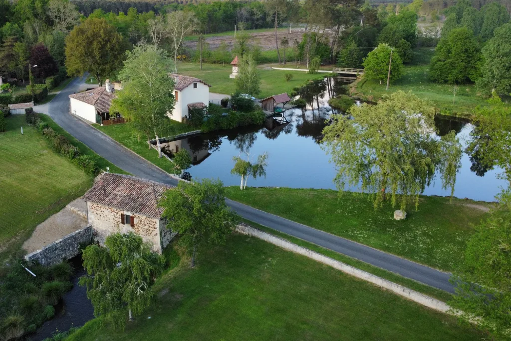 Piscine chauffée du domaine entourée de transats sur un grand terrain arboré