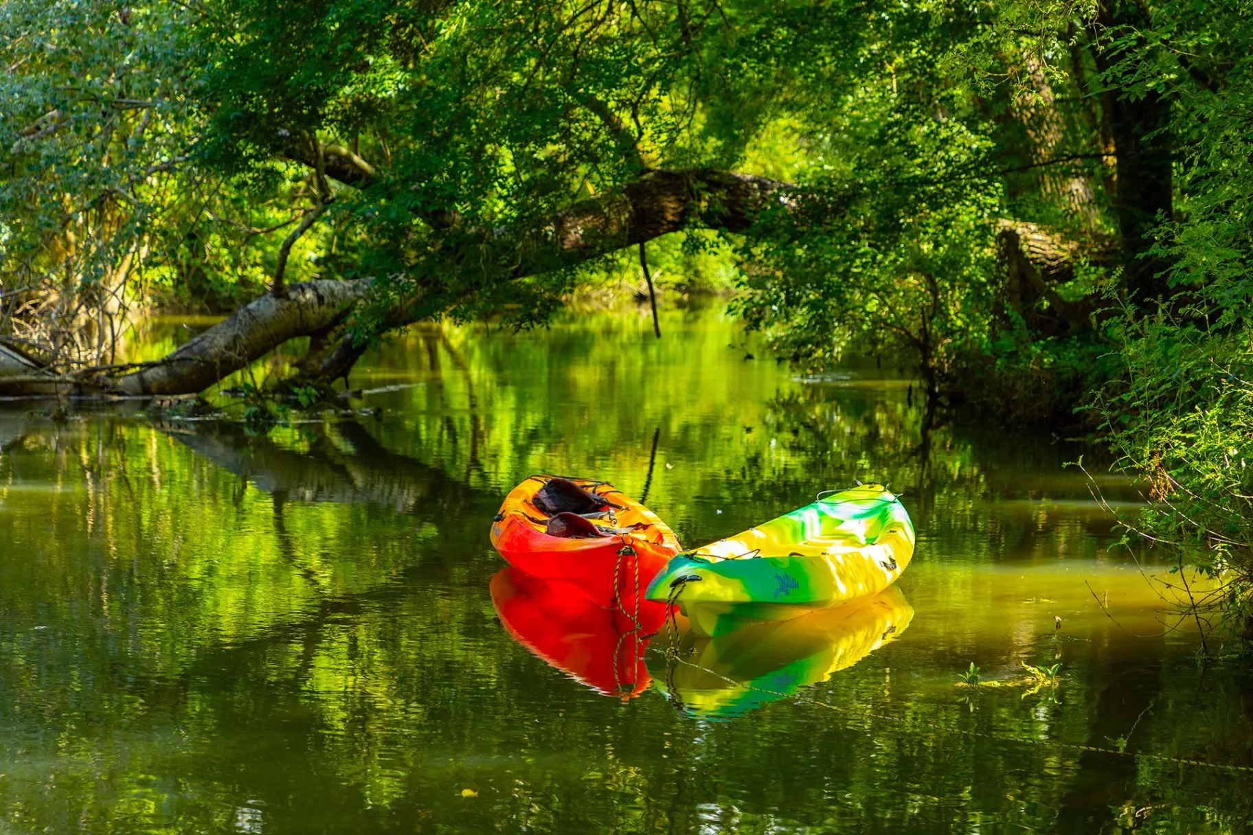 Kayaks sur la rivière la Charente ombragée par les arbres