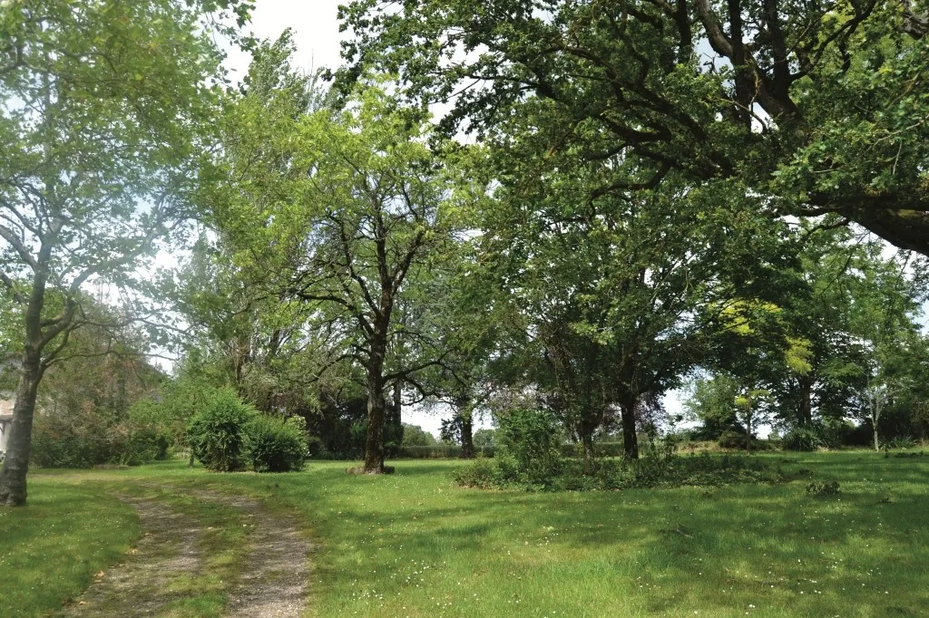 Grand parc arboré du domaine avec pelouse dégagée pour les activités de groupe