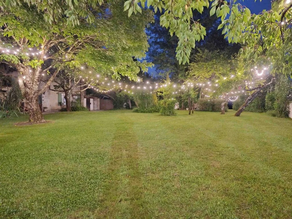 Parc paysagé du domaine avec pelouse ombragée et espace détente