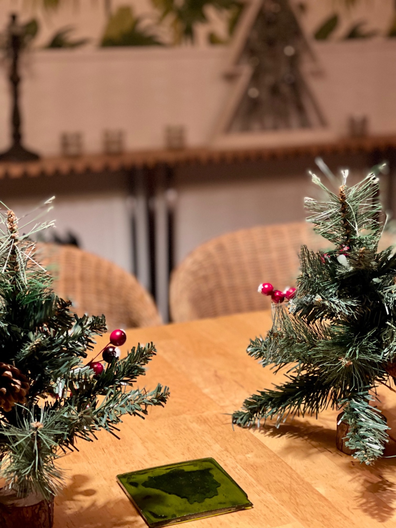 Un Noël magique à Un Rêve de Campagne – Nangeville, Le Malesherbois