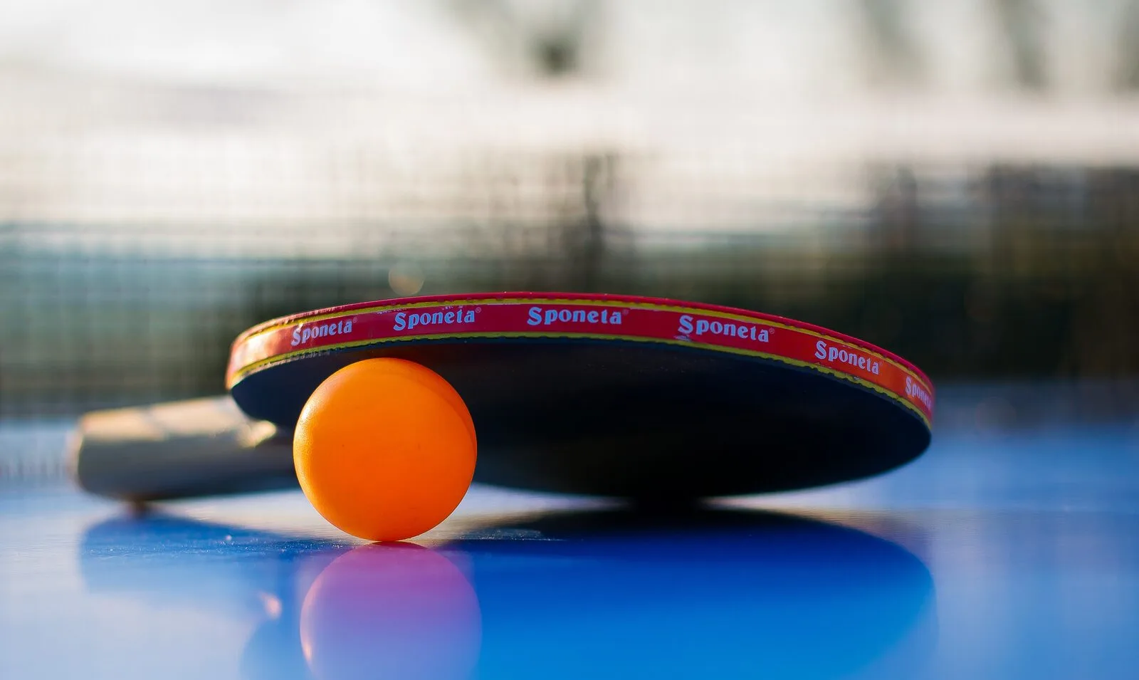 Table de ping-pong installée dans le jardin