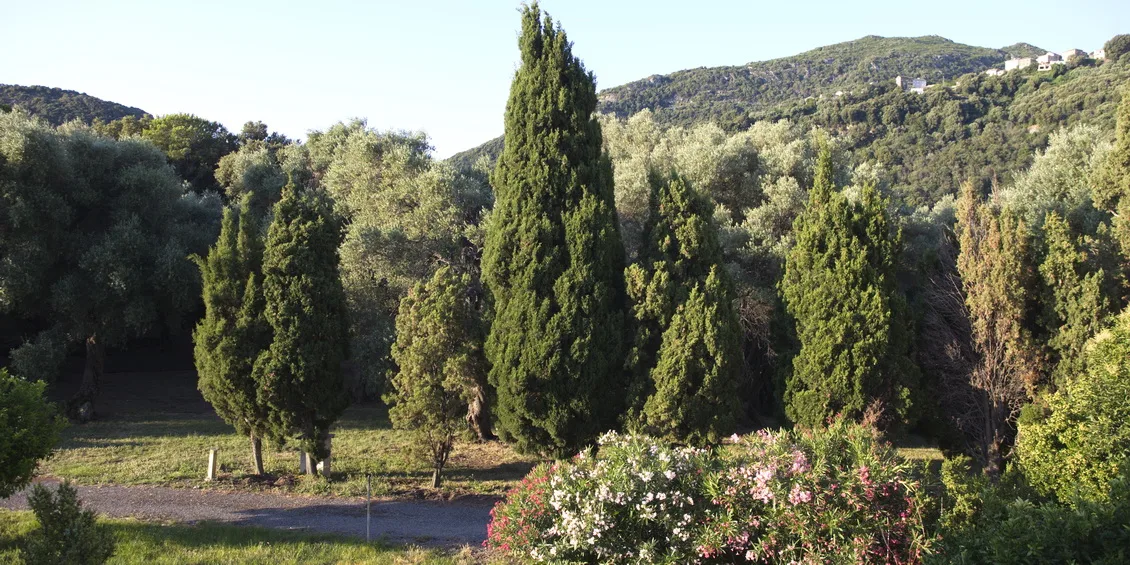 Vue sur la nature environnante depuis le domaine du couvent