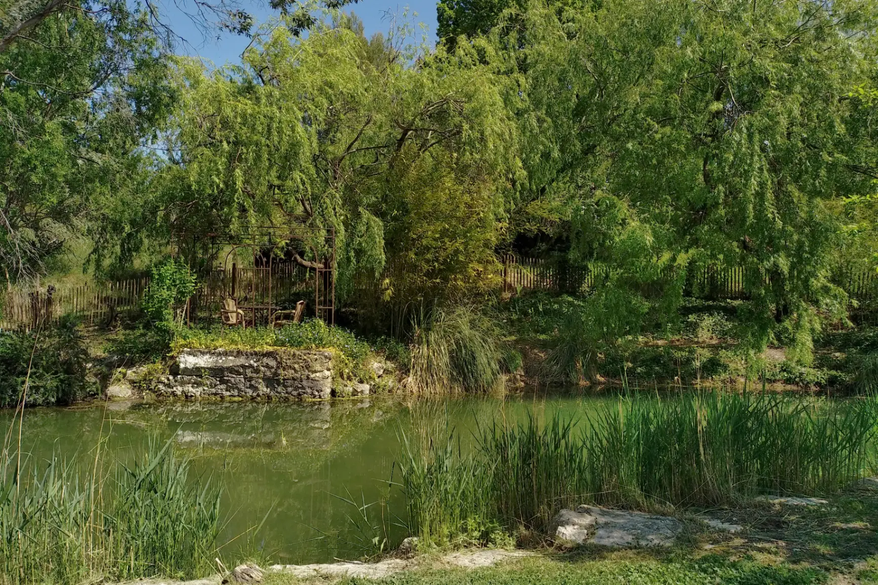 Le petit étang avec ces carpes koï