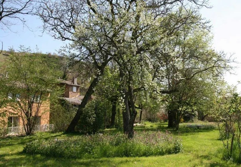 Jardin arboré du gîte avec arbres en fleurs au printemps